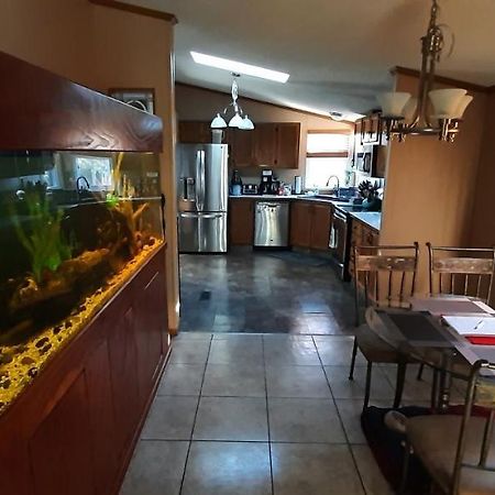 Private Pet Friendly Home Near Exotic Deer Farm Close To Pigeon Forge, Gatlinburg Tn Sevierville Buitenkant foto