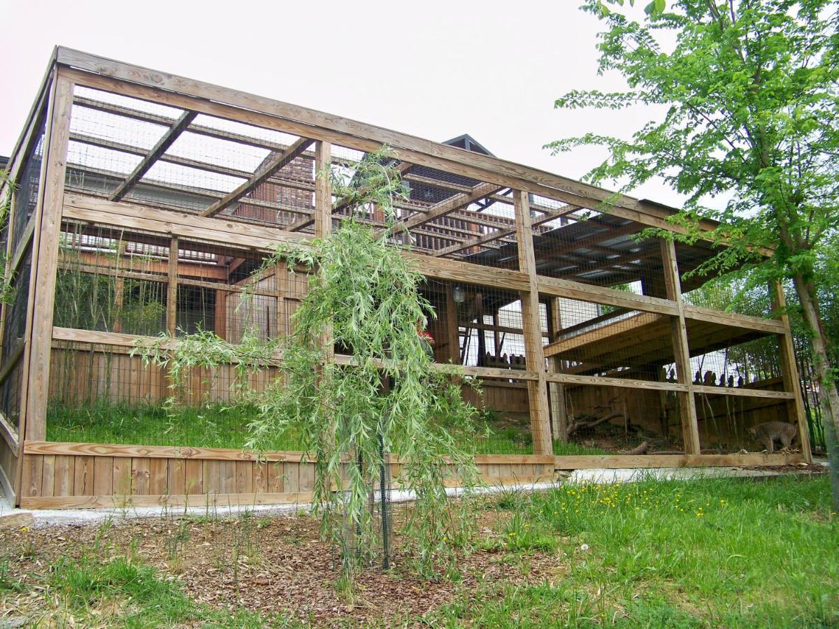 Private Pet Friendly Home Near Exotic Deer Farm Close To Pigeon Forge, Gatlinburg Tn Sevierville Buitenkant foto