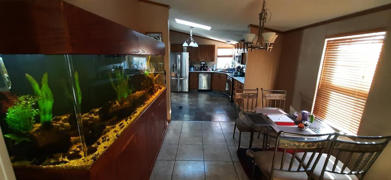 Private Pet Friendly Home Near Exotic Deer Farm Close To Pigeon Forge, Gatlinburg Tn Sevierville Buitenkant foto
